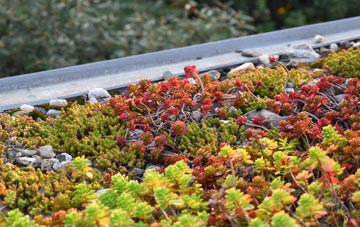 the cost of Llanbrynmair green roof installation