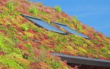 Llanbrynmair living roof systems
